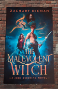 Solo Malevolent Witch Poster